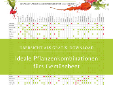 Mischkultur-minzgruen