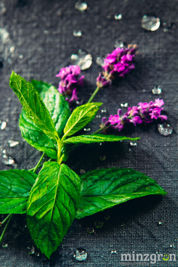Lavendel Minz Wasser