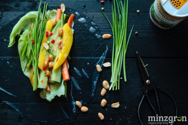 Knackige Frühlingsrollen mit Mango-Kokos Sauce